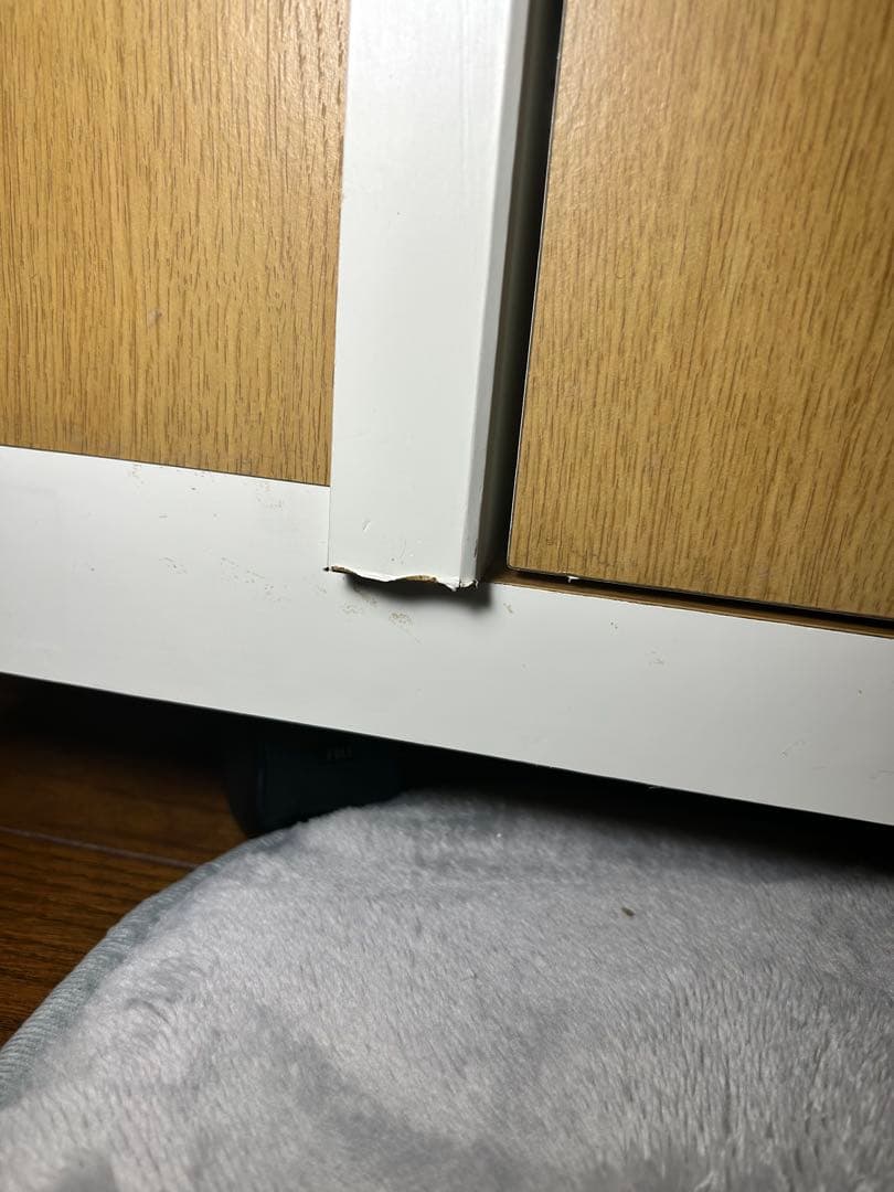 ワンだぁルーム