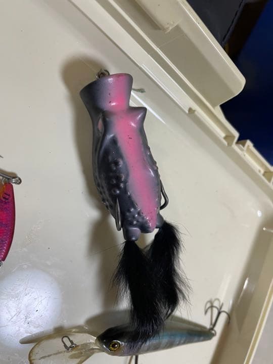 フロッグセット