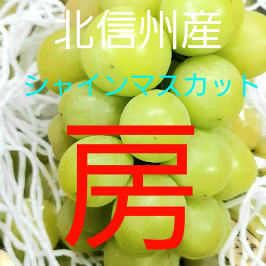 シャインマスカット秀品5キロ入り