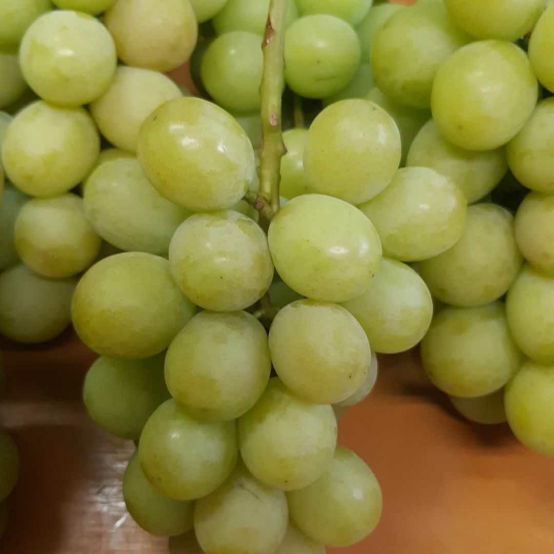 シャインマスカット秀品5キロ入り