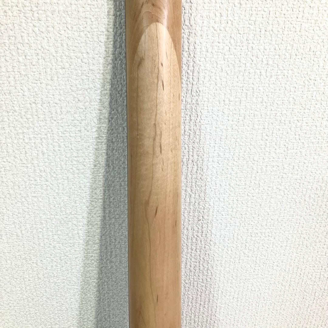 Pignose ピグノーズ PGG-200 ブルー アンプ内蔵 ミニギター