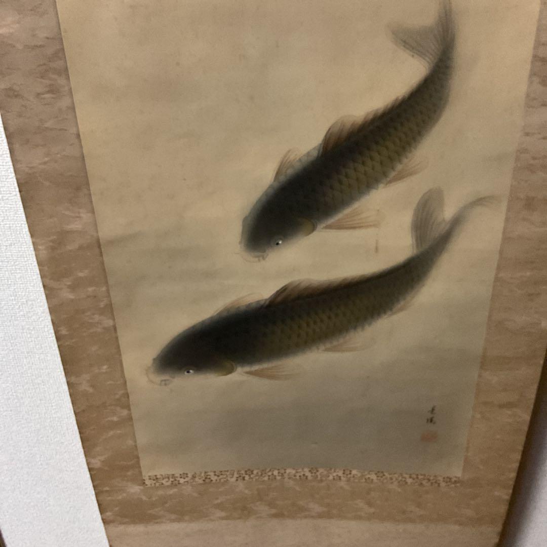 晃陽筆 彩色画 絹本掛け軸 【 遊鯉図 】 軸先陶器軸