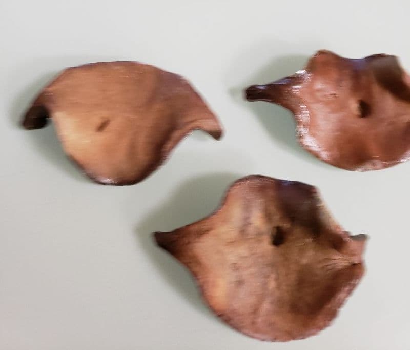 ♦️鮃 ‼️躍動する  鮃 の箸置‼️♦️まるで泳いでいるような作品です‼️