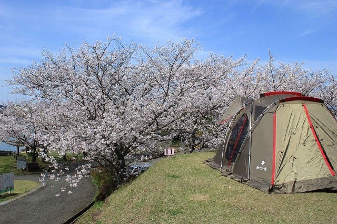 リビングシェルS Pro. シールドルーフ付き　雪峰祭限定品