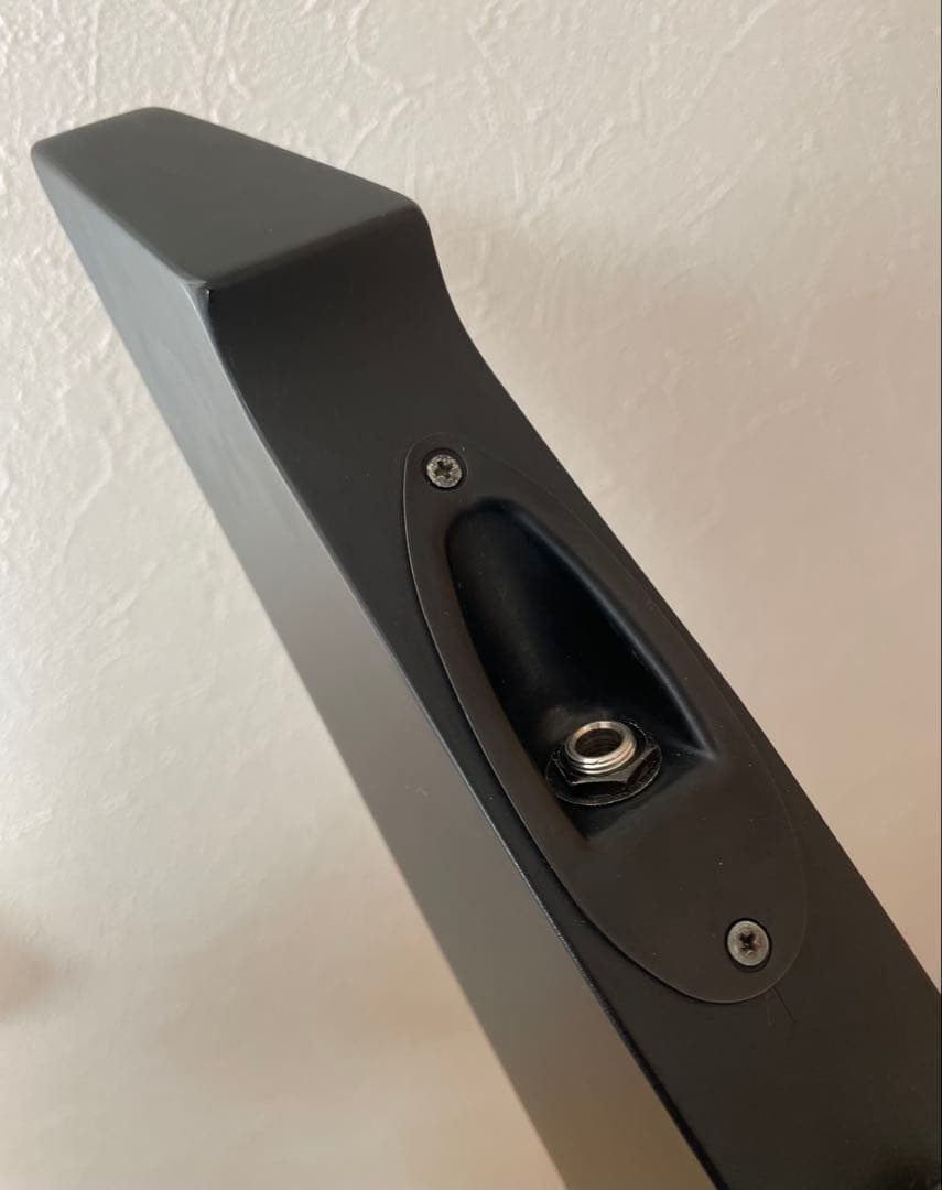 ESP LTD Vulture James Hetfield シグネチャーモデル