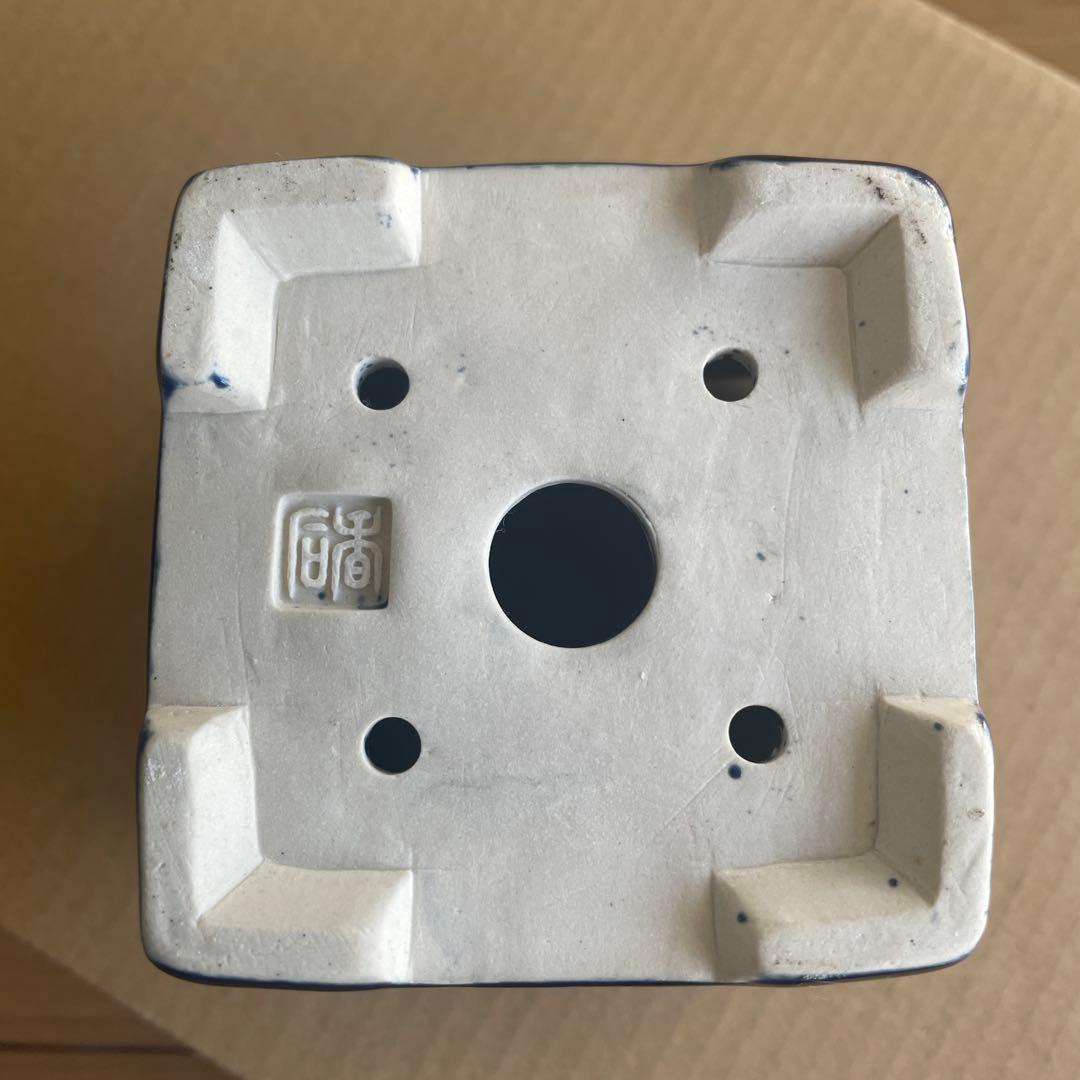 盆栽鉢　桑津香石　絵鉢　鶴　日の出　富士山　鳥　山野草　落款印