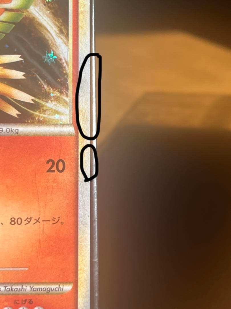 未開封　WCS ホウオウ　ルギア 047,048/L-P