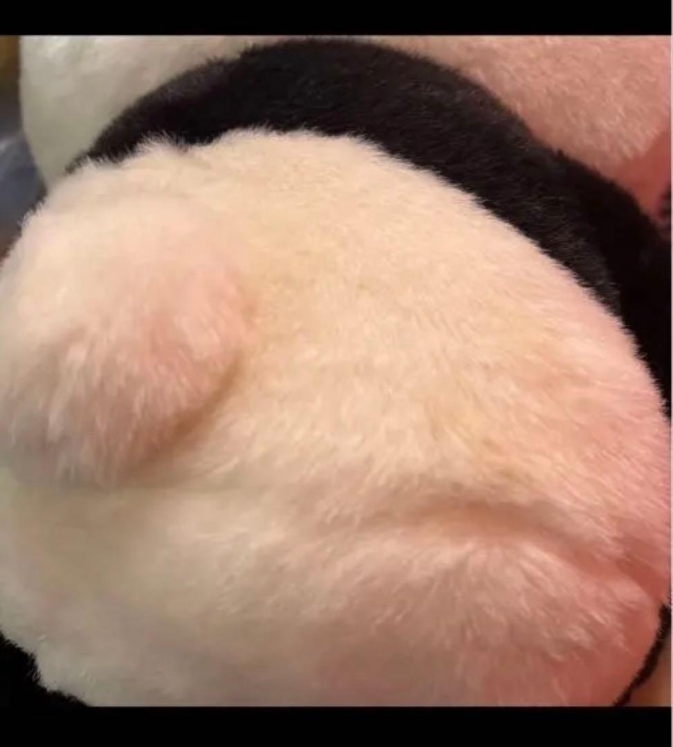 ハローキティ　変身　パンダ　Lサイズ　ぬいぐるみ