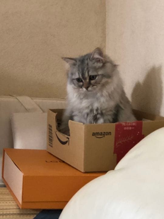 ayanoさま確認用