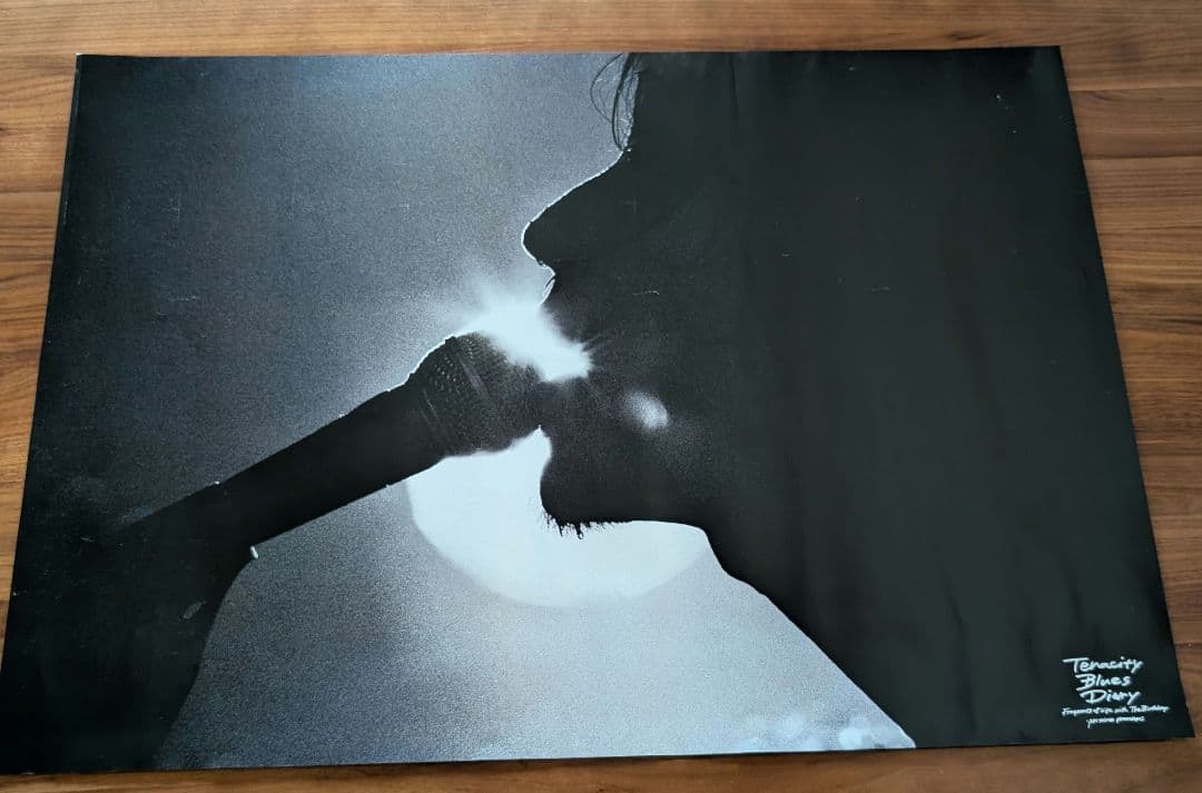 The Birthday チバユウスケ 写真集 B2ポスター