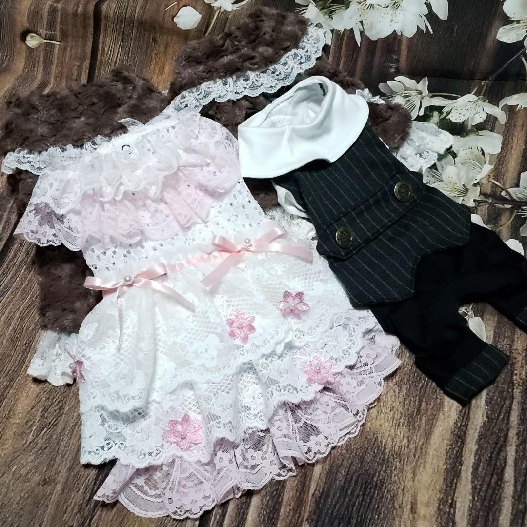 犬服　さとりーぬ　ハンドメイド