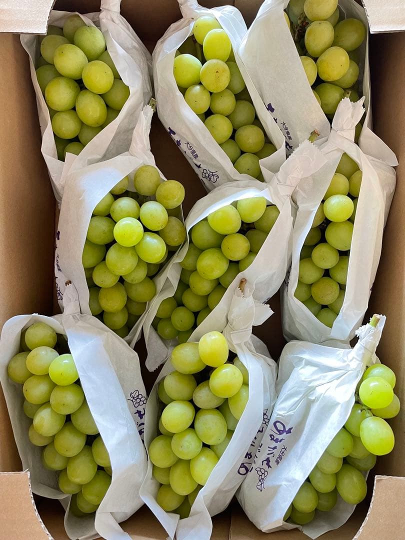 【数量限定】果物　シャインマスカット ぶどう　葡萄　5kg 房入り　訳あり