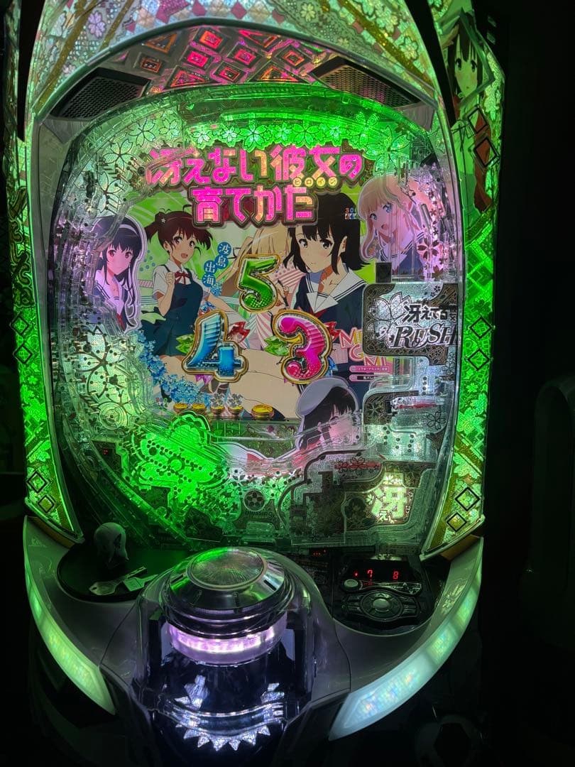 冴えない彼女の育て方