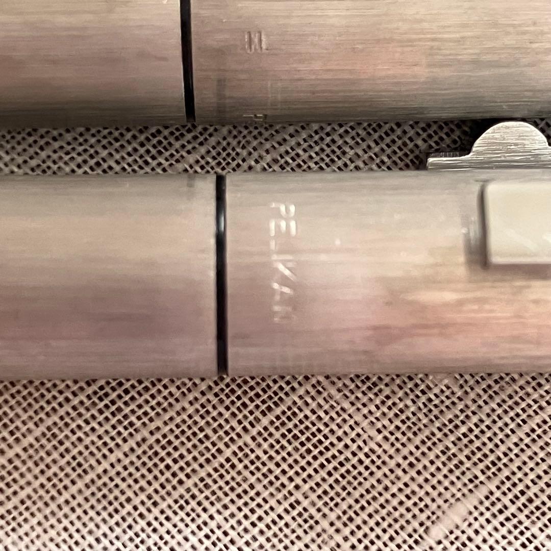 Pelikan ペリカン 万年筆 シグナム ２本セット