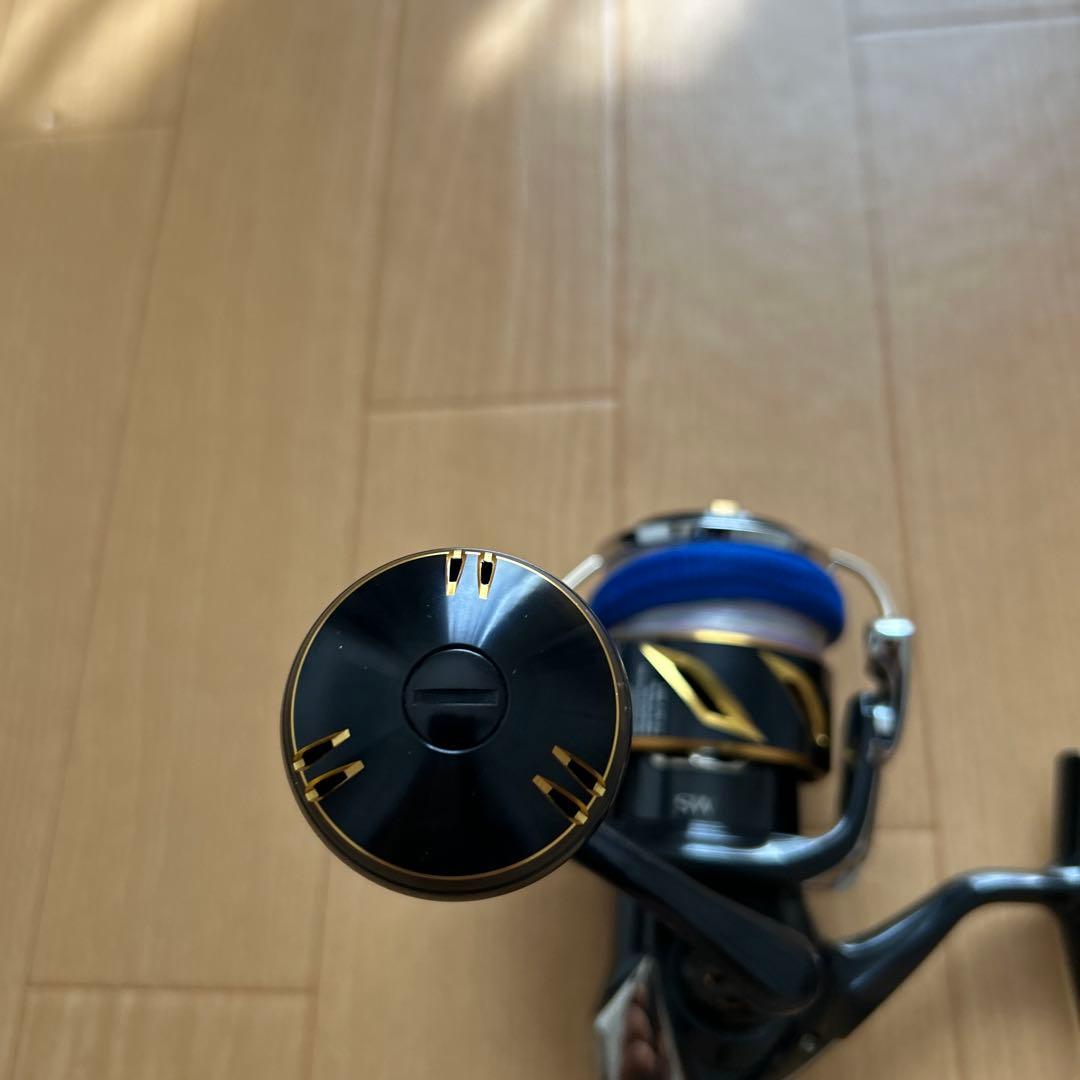リール SHIMANO STELLA SW 6000HG