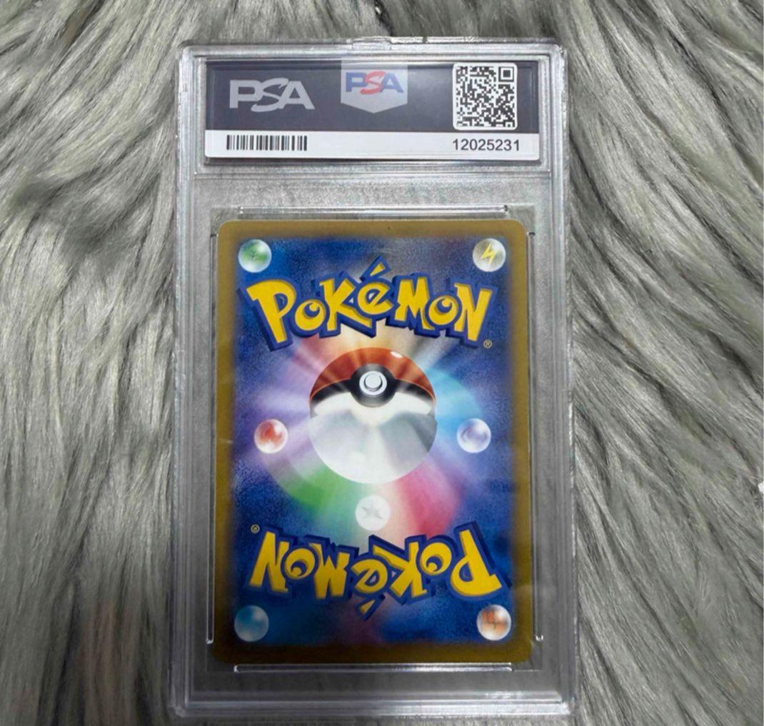 ポンチョを着たピカチュウレックウザ　鑑賞用