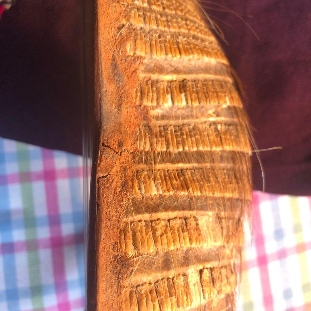 本日発送限定お値引き中 希少 マンドリン チャランゴ kirkinchu