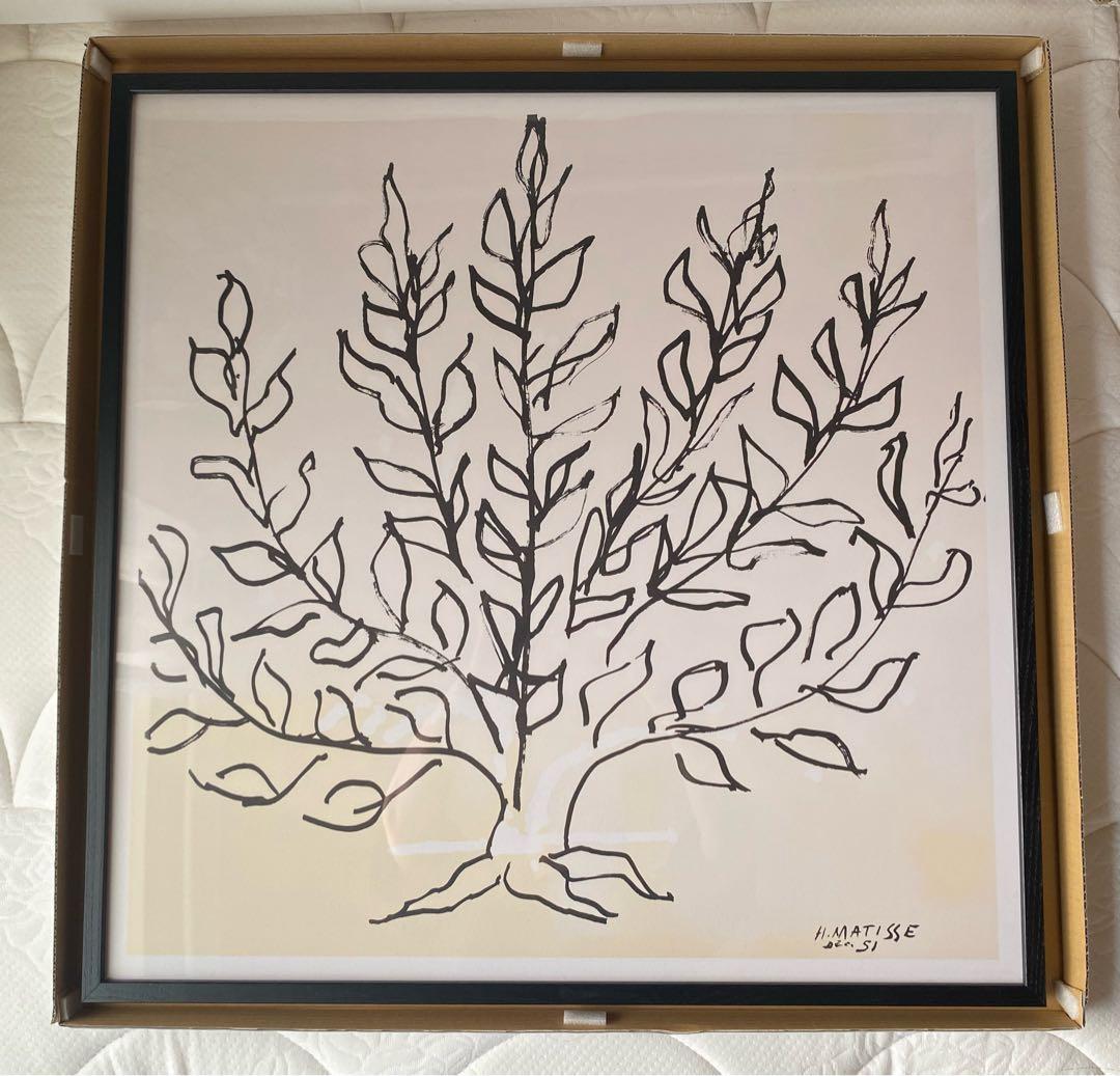 ［ＩＤＥＥ］アンリ・マティス　「低木」ブラックフレーム