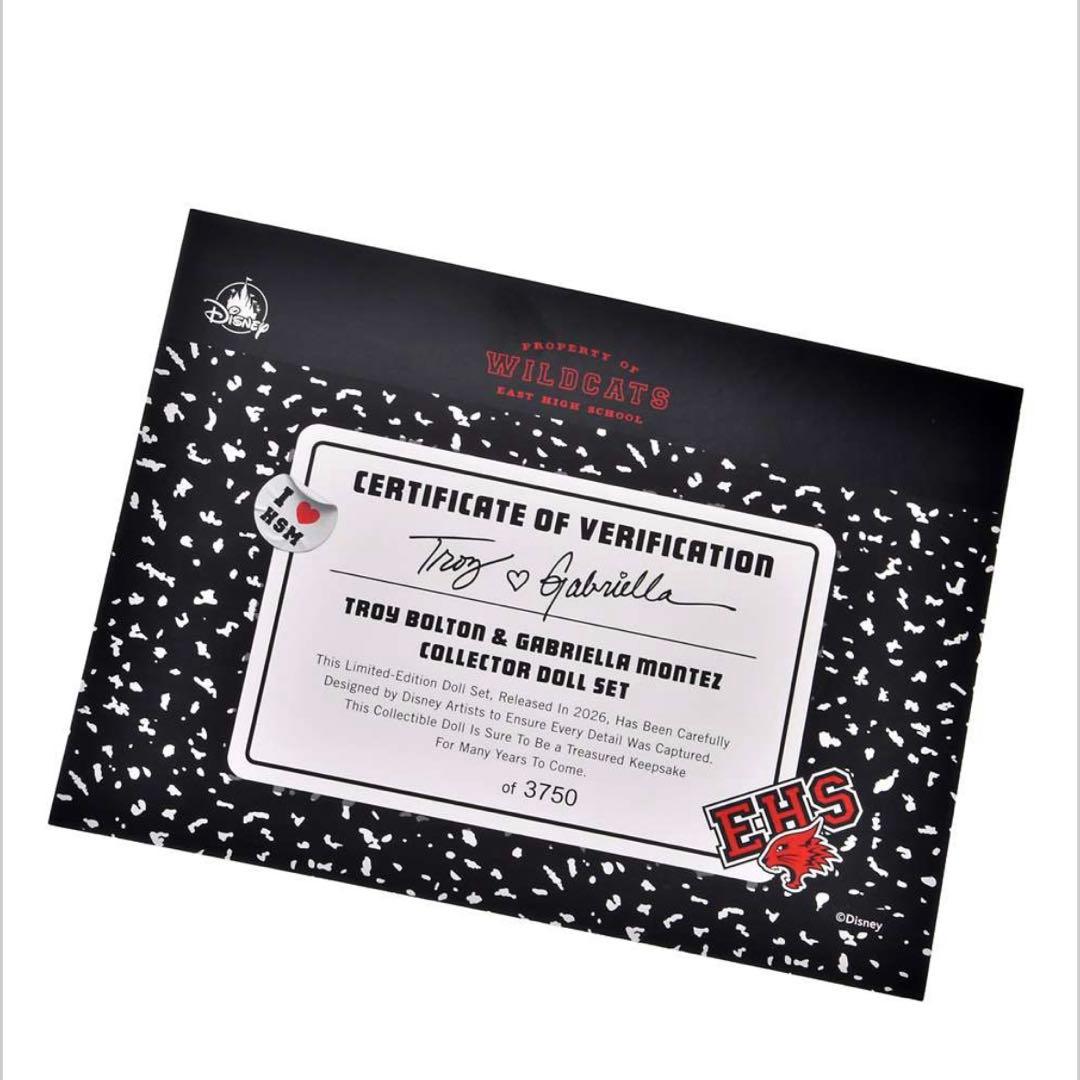 希少 トロイ・ボルトン＆ガブリエラ・モンテス ドール ハイスクール・ミュージカル