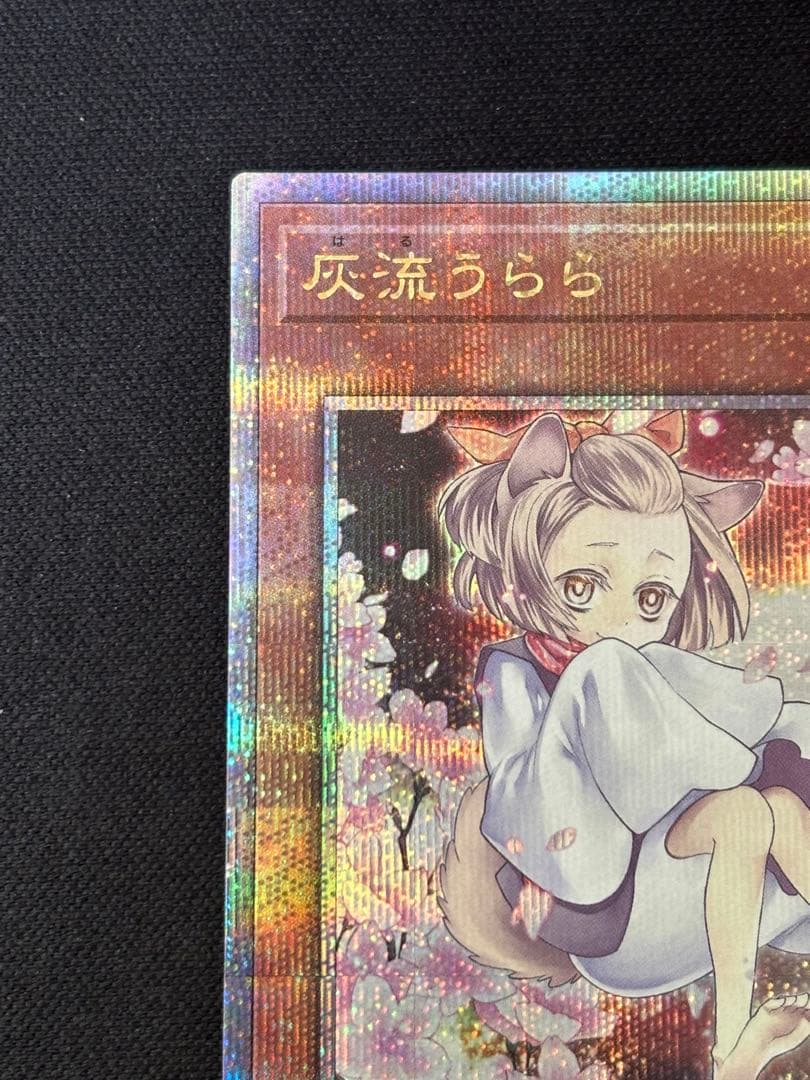 遊戯王　灰流うらら　25th 絵違い　クオシク