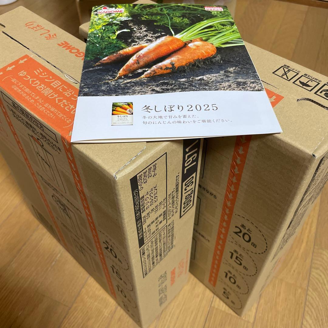 冬しぼり2025 カゴメ　にんじんジュース　健康直送便　30缶×2ケース