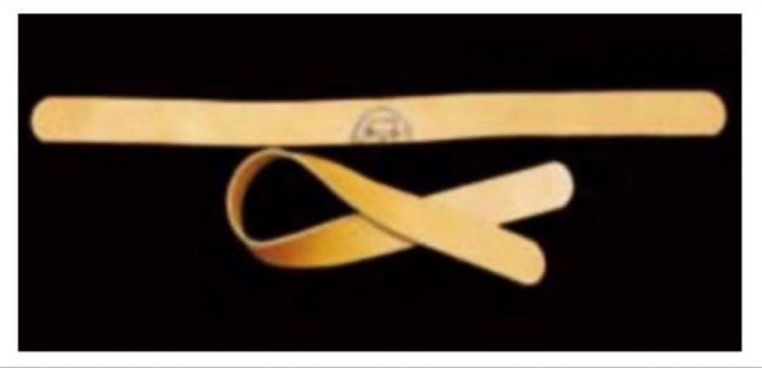 ニコライ堂　両切り握り留め　WG-351NS リストストラップ　ウエサカ