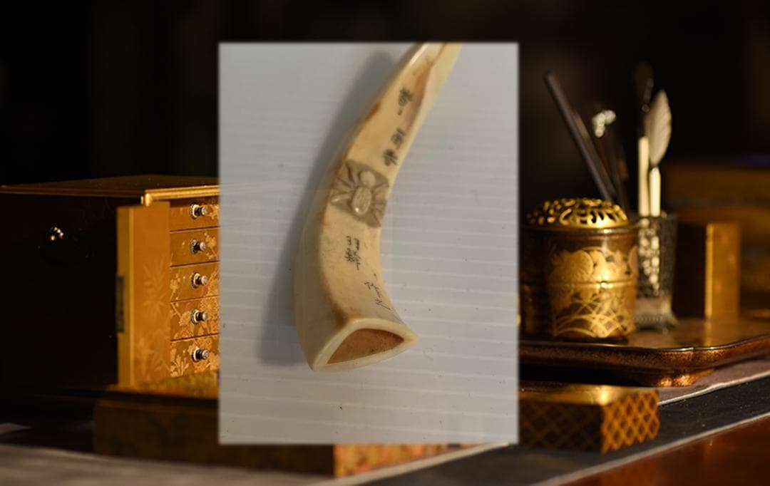 ●石見根付 ●蜘蛛 ●猪牙 古牙 獣牙 時代物 骨董 いのしし