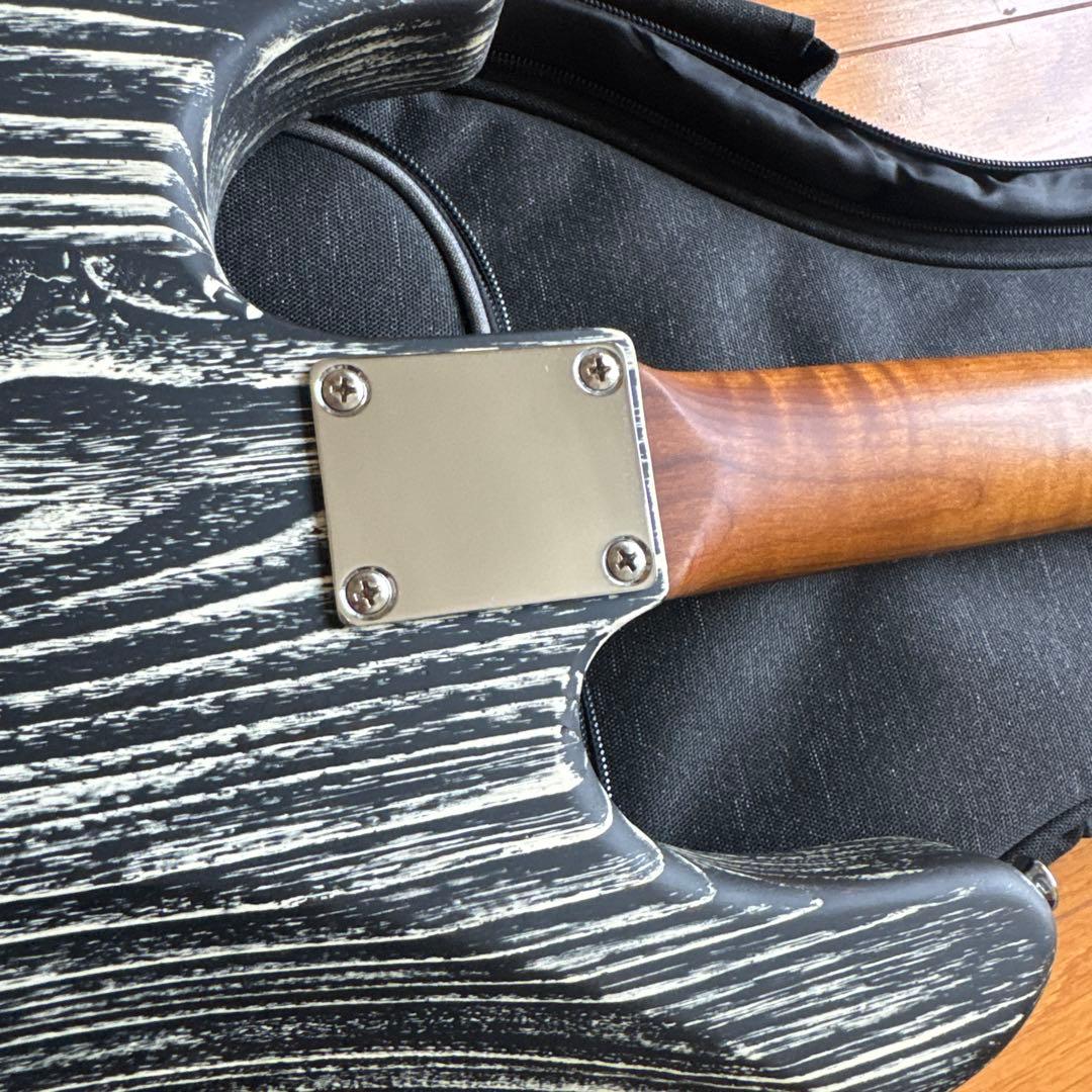 Bacchus ベース　弦、ケース付き