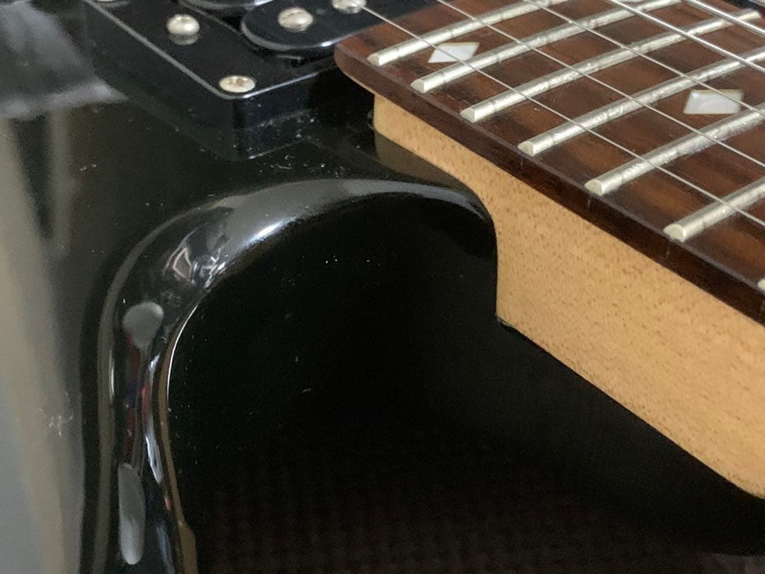 Chatting Bird Mockingbird モッキンバード hide