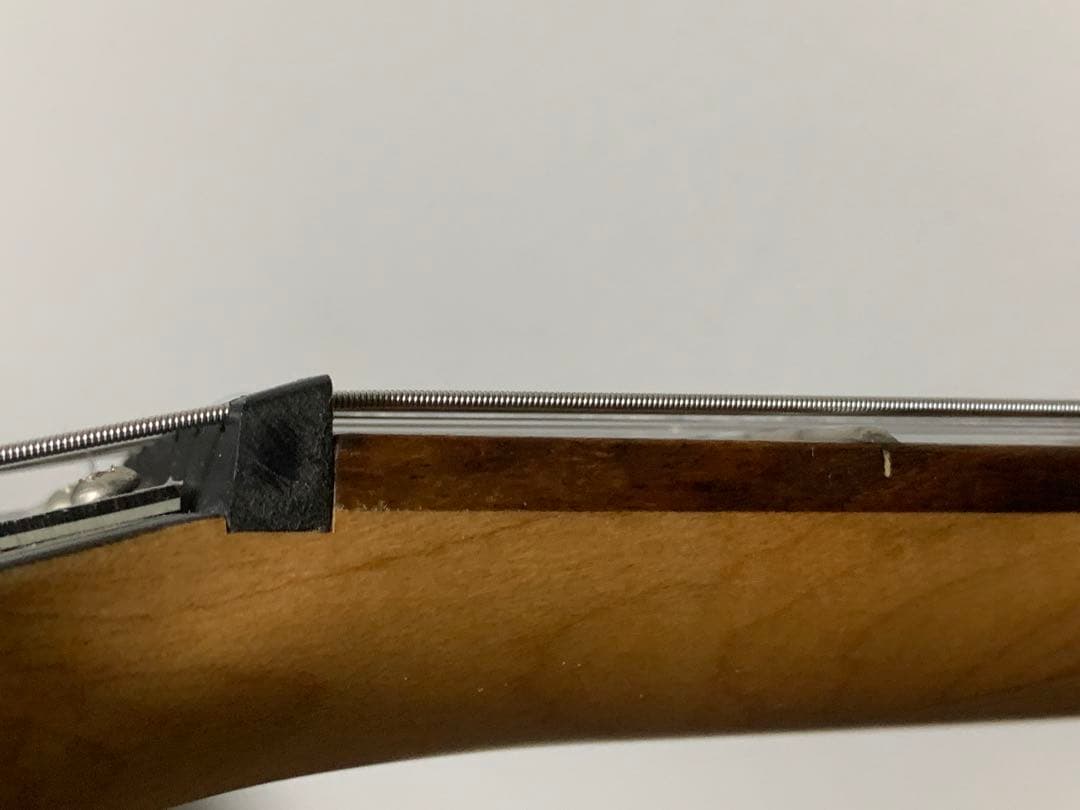 Chatting Bird Mockingbird モッキンバード hide