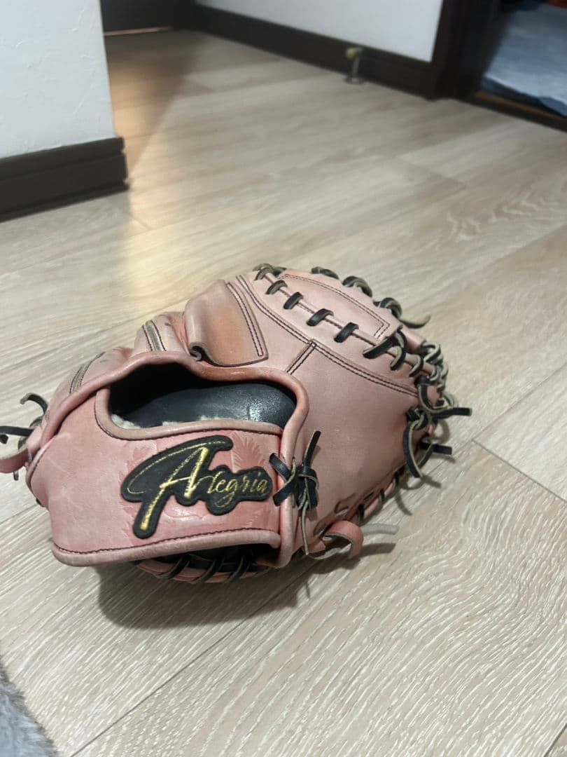 Alegria 硬式グローブ