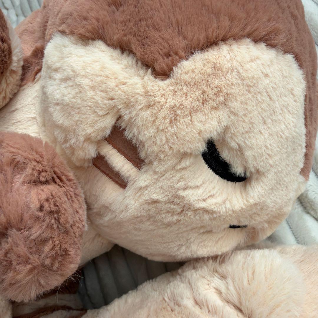 ポケモンセンター限定 もりのおくりもの オオタチ ぬいぐるみ