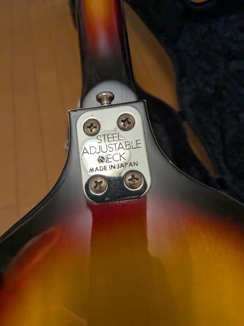 栗*す様 バイオリンベース　excetro テスコ　TEISCO 専用ハードケー