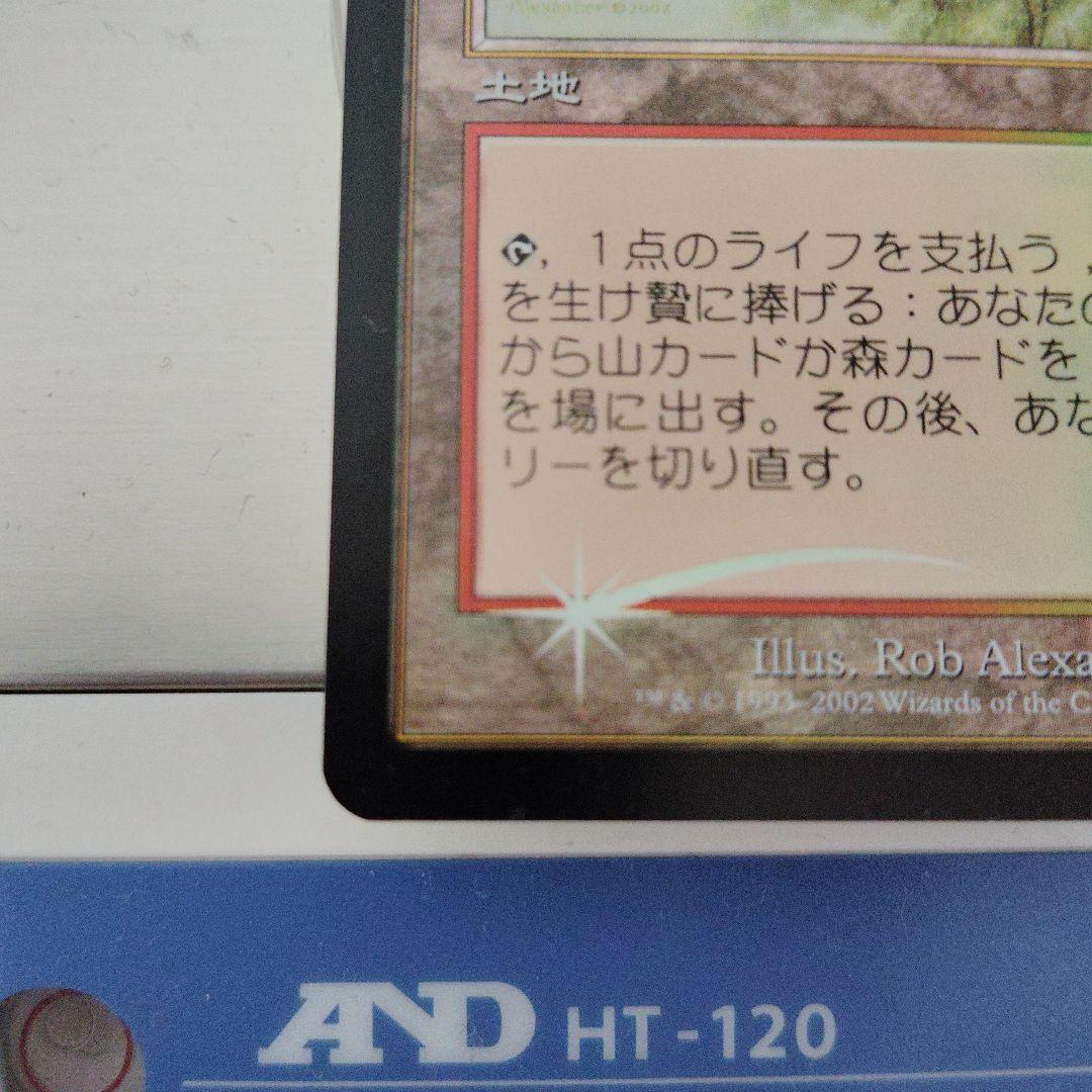 こ*ま様 樹木茂る山麓　日本語　初版　foil