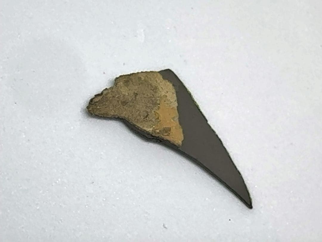 F117ステルス攻撃機(82-0806)　被撃墜機破片？ 1/144 模型付き