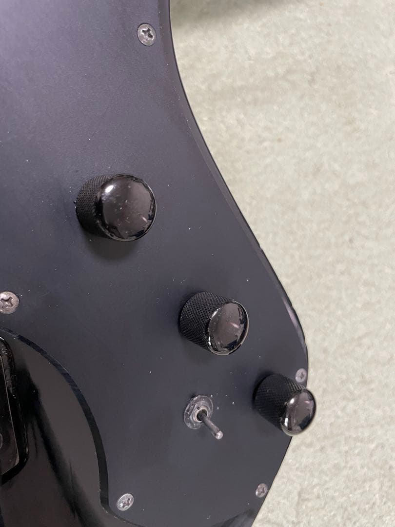 希少！Burny H-85 サスティーナ搭載シャチ HIDE HOTEI