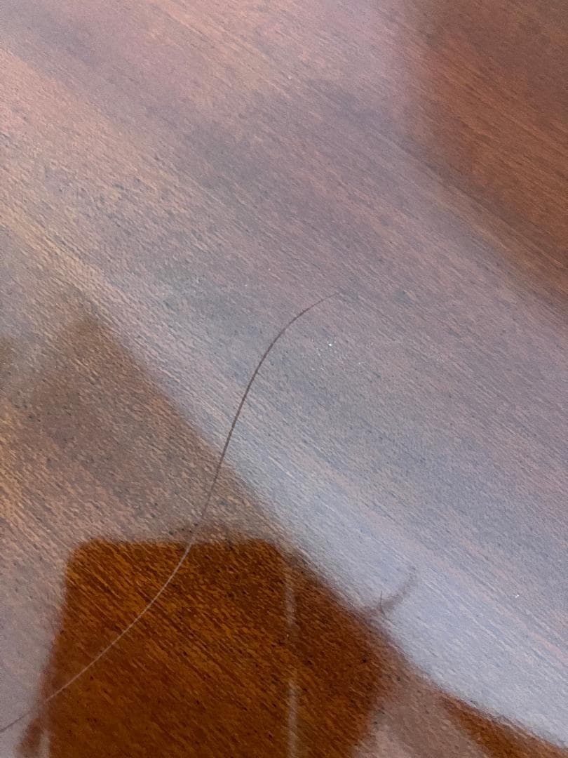 Epiphone Hummingbird PRO エレアコ チューナー/ケース