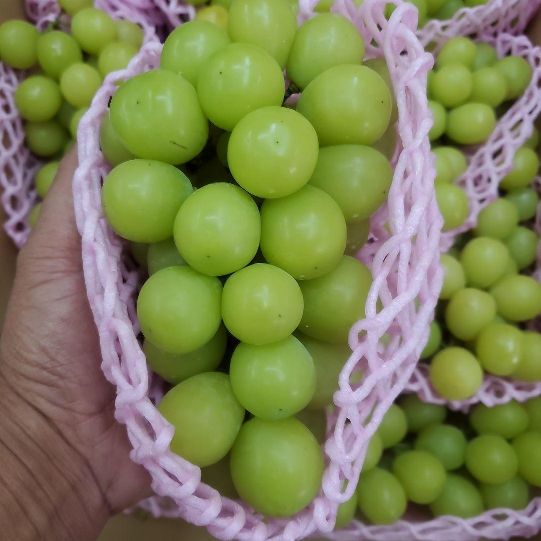 4️⃣ 山梨県産 シャインマスカット 11房入り 箱込み5.3キロ