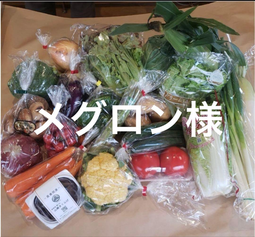 メグロン様 野菜セット