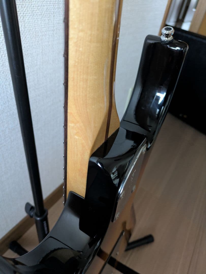 Fujigen エレキギター EOS expert os oder