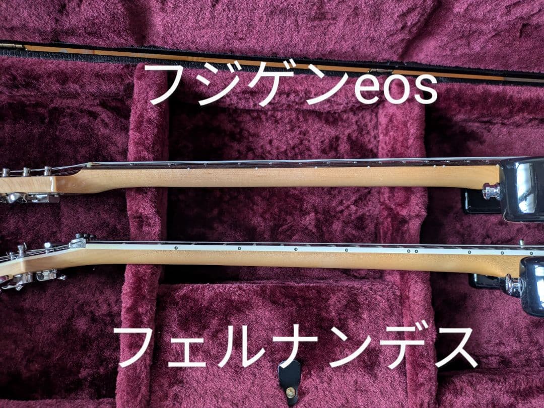 Fujigen エレキギター EOS expert os oder
