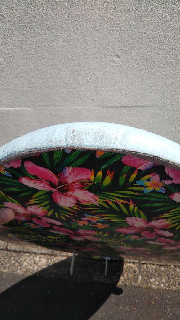 キャッチサーフ オデシー ソフトボード