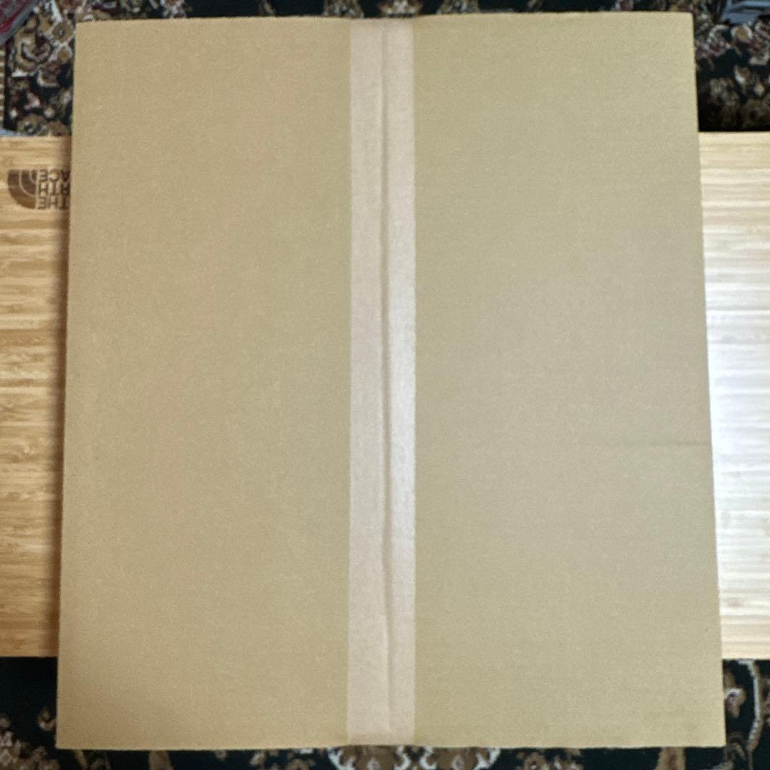 貞本義行 新世紀エヴァンゲリオン B4 複製原画 E 新品未開封