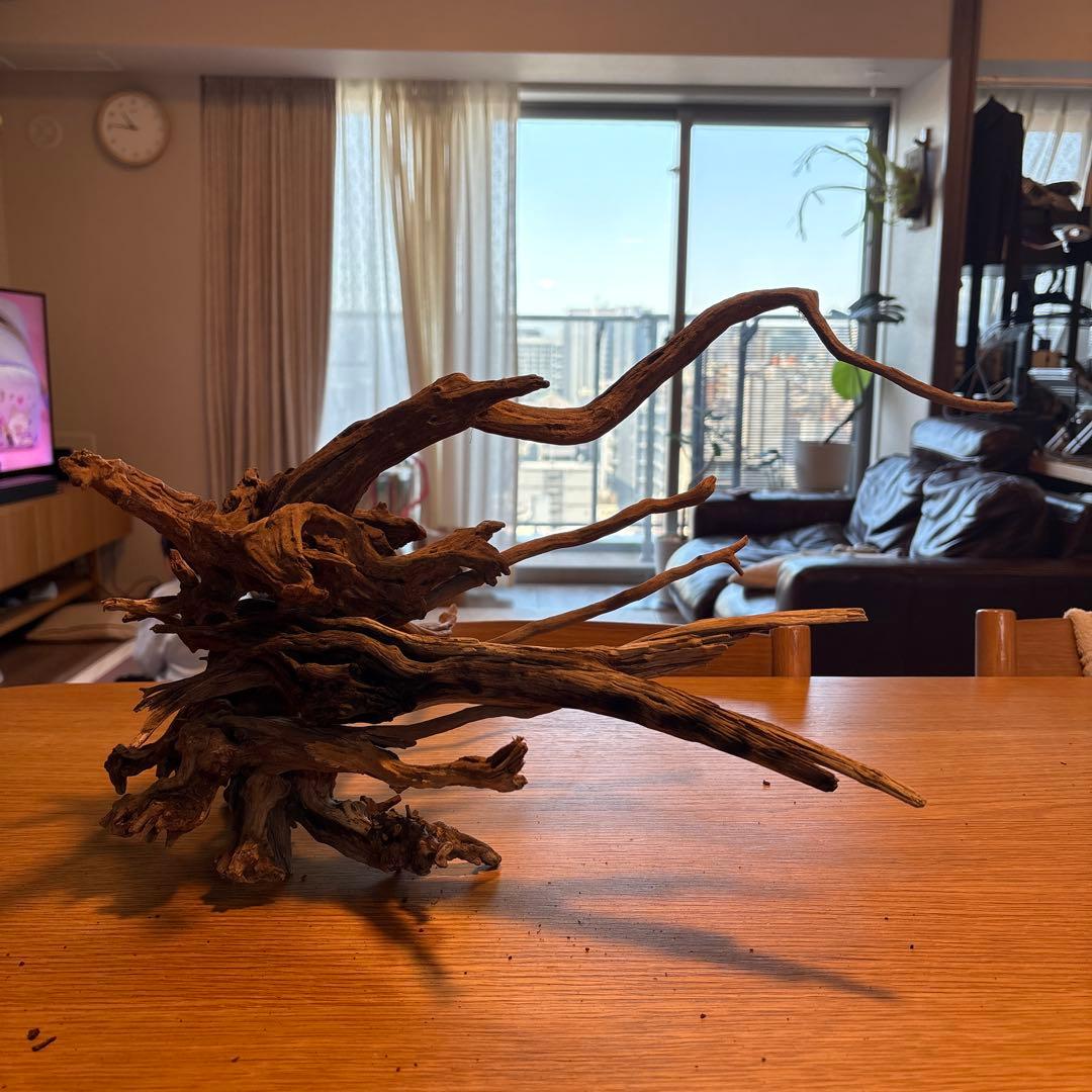 【早い者勝ち】 ADA流木 3本（まとめ買い500円引）