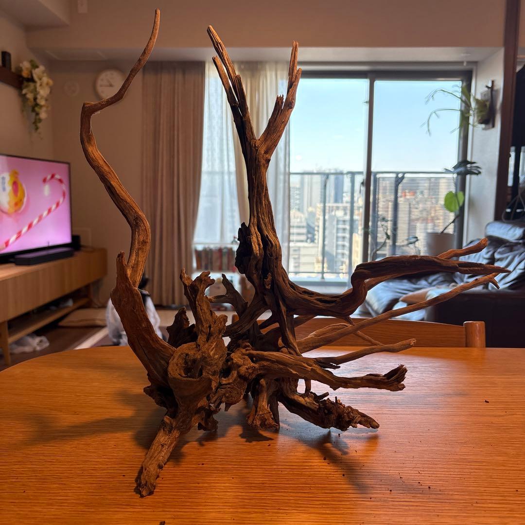 【早い者勝ち】 ADA流木 3本（まとめ買い500円引）