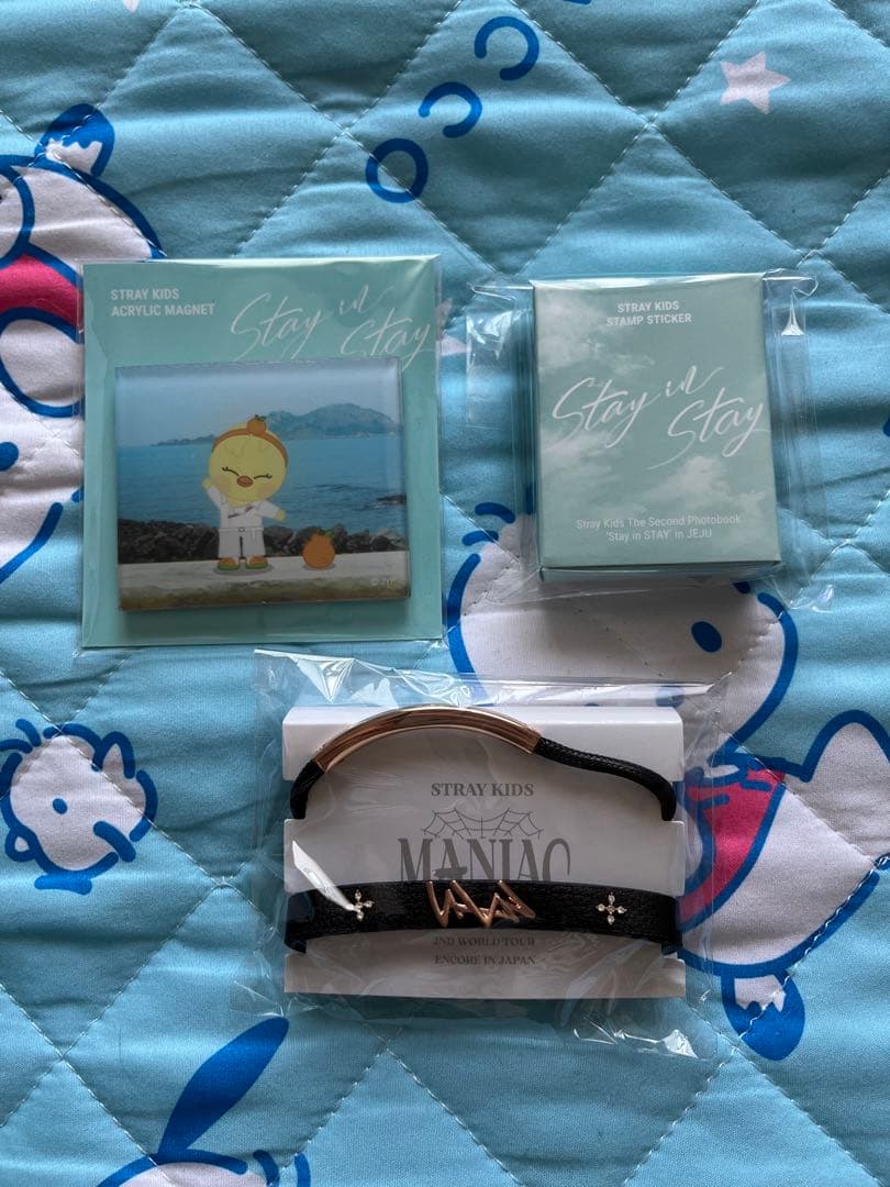 Stray Kids スキズ 'Stay in STAY' in JEJU