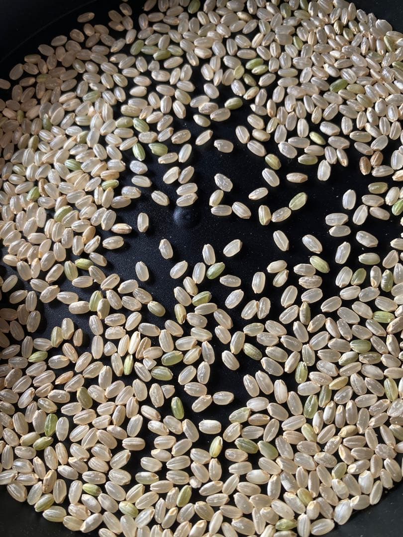 令和7年　つきあかり　無洗米に精米