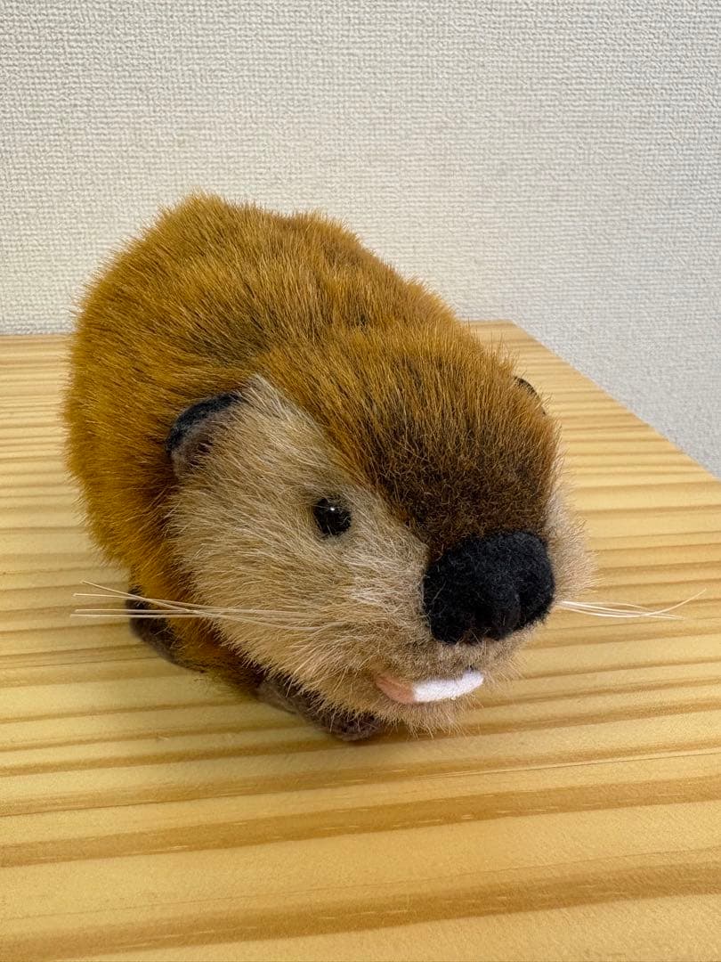 SUPER BEAVER ビーバーちゃん　ぬいぐるみ