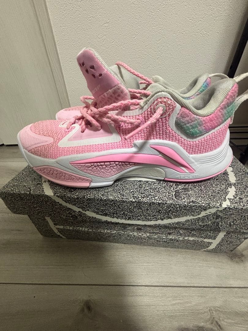 リーニンバッシュ26.5