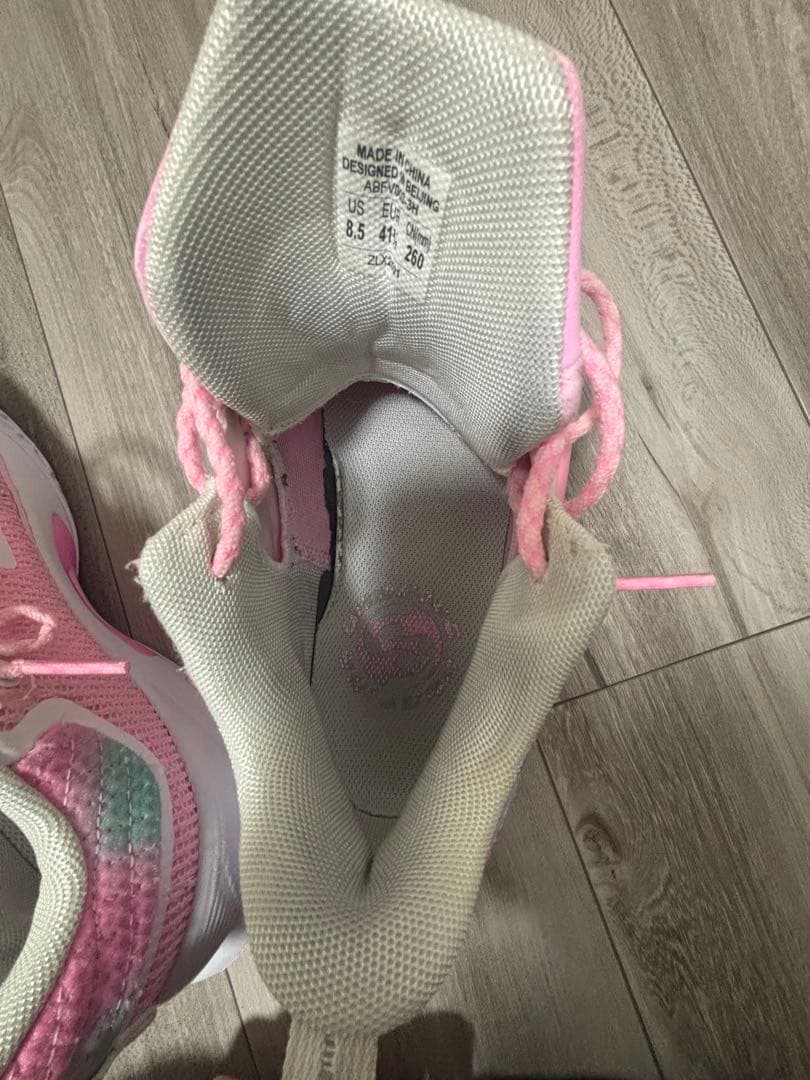 リーニンバッシュ26.5